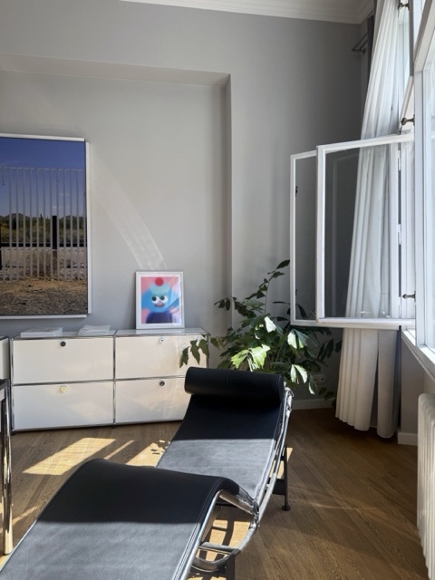 Lounge corner with chaise longue and art