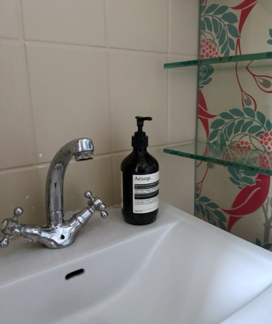 Aesop hand wash at the bathroom sink